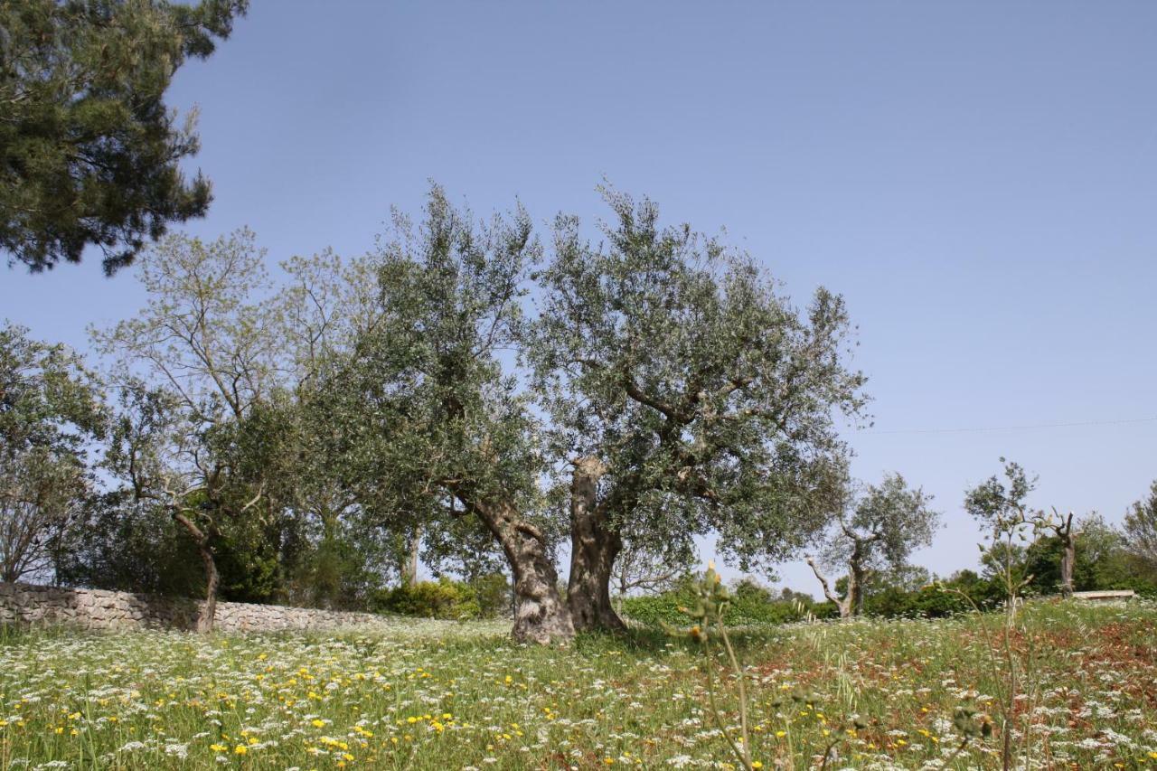 L'Eremo Apartment Alberobello Bagian luar foto